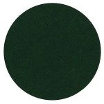Green Corps Hookit Sanding Disc 8" | Blackburn Marine